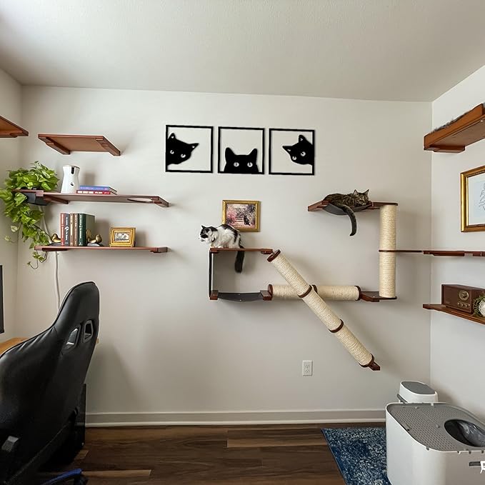 Wallexo Peeking Cats Wall Art Set of 3